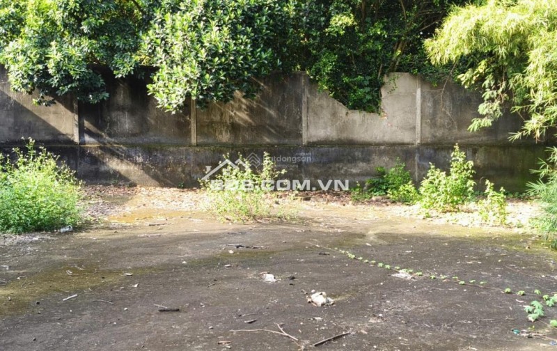 BÁN ĐẤT TẠI KHU PHỐ ĐÔNG TƯ PHƯỜNG LÁI THIÊU, TP. HCM. GIÁ CỰC CHẤT 6,5 TỶ CHO 268M2