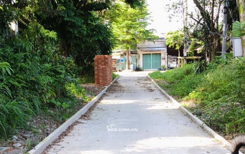 BÁN ĐẤT TẠI KHU PHỐ ĐÔNG TƯ PHƯỜNG LÁI THIÊU, TP. HCM. GIÁ CỰC CHẤT 6,5 TỶ CHO 268M2