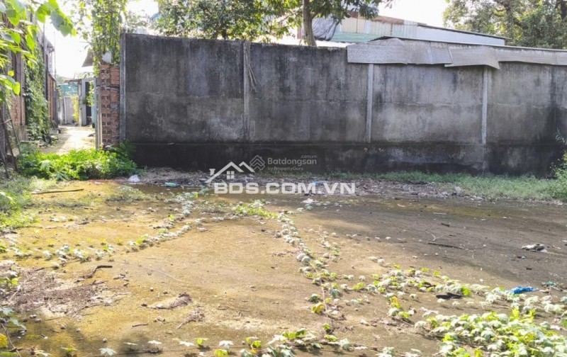 BÁN ĐẤT TẠI KHU PHỐ ĐÔNG TƯ PHƯỜNG LÁI THIÊU, TP. HCM. GIÁ CỰC CHẤT 6,5 TỶ CHO 268M2