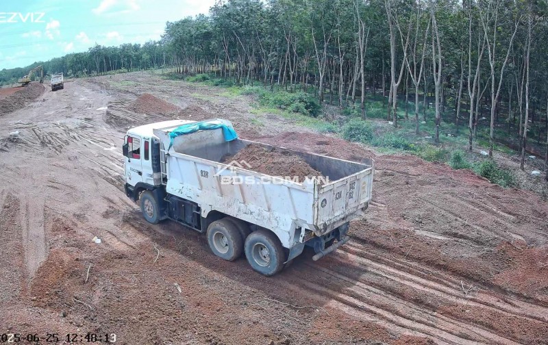 Cho thuê đất trống CLN tại xã An Long, TP. HCM, diện tích 4,5ha giảm từ 20 triệu còn 10 triệu/tháng