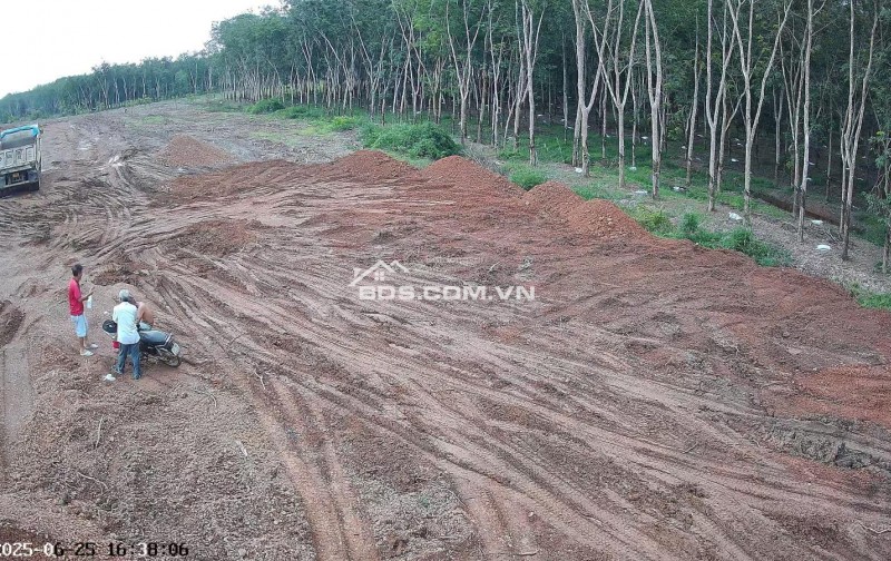 Cho thuê đất trống CLN tại xã An Long, TP. HCM, diện tích 4,5ha giảm từ 20 triệu còn 10 triệu/tháng