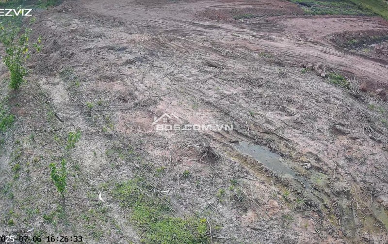 Cho thuê đất trống CLN tại xã An Long, TP. HCM, diện tích 4,5ha giảm từ 20 triệu còn 10 triệu/tháng