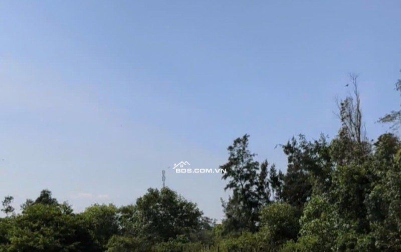 [SIÊU PHẨM BIỂN QUẢNG NAM] - 5.600M² SÁT BIỂN BÌNH MINH - GIÁ ĐẦU TƯ CHỈ 11TR/M²