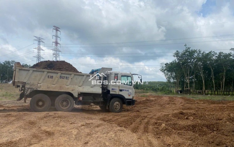 Cho thuê đất trống CLN tại xã An Long, TP. HCM, diện tích 4,5ha giảm từ 20 triệu còn 10 triệu/tháng