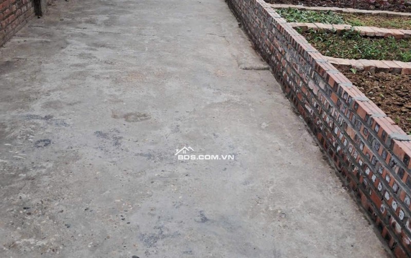 Chính chủ cần tiên bán nhanh lô đất 171m2 tại Phụng Thượng, Phúc Thọ, dân cư đông đúc