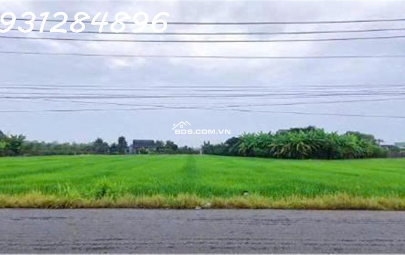 Siêu phẩm - Bán đất mặt tiền đường DT 827B, Châu Thành, Long An, DT 4.000m2, giá đầu tư