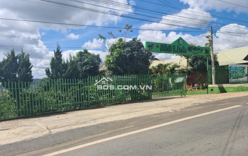 Cho thuê 10.600m2 đất vườn cafe Sim Tím MT QL20, HXH Đà Lạt