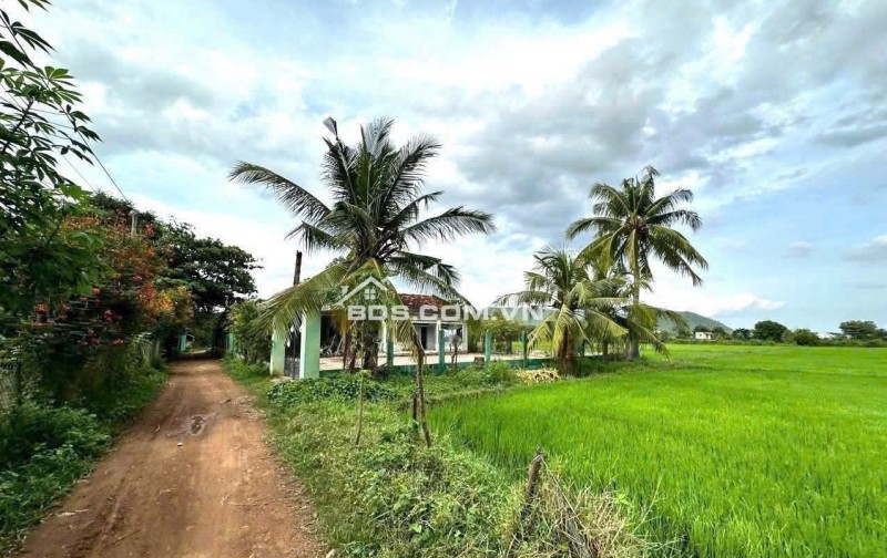 Bán đất Ma Lâm Huyện Hàm Thuận Bắc Bình Thuận 4,1 sào giá rẻ