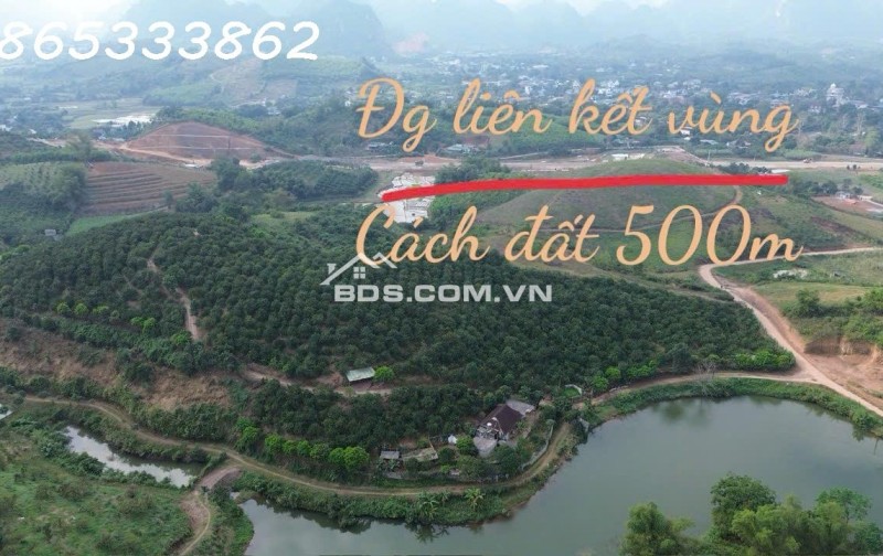 BÁN LÔ ĐẤT ĐẸP MƯỜNG ĐỘNG – KIM BÔI  VIEW CÁNH ĐỒNG THOÁNG SẴN NHÀ c4