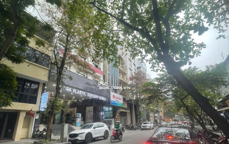 Mảnh Đất Cạnh Phố Nguyễn Du MT 6.5M Hậu 7,2M 150 Tỷ -Ngay Ngã Tư 1 Sổ 1 Chủ