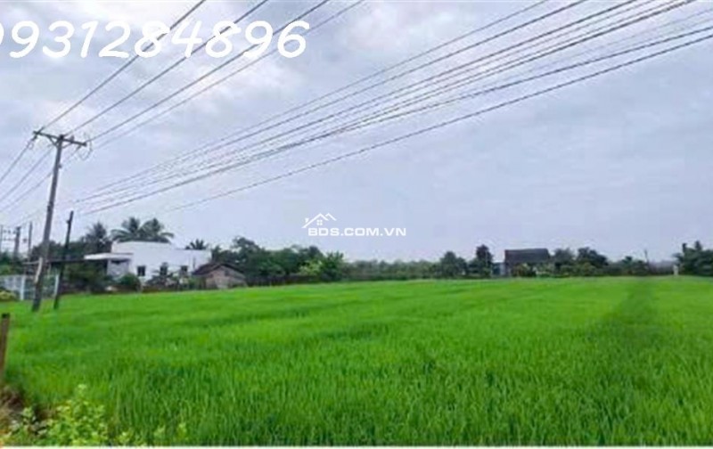 Siêu phẩm - Bán đất mặt tiền đường DT 827B, Châu Thành, Long An, DT 4.000m2, giá đầu tư