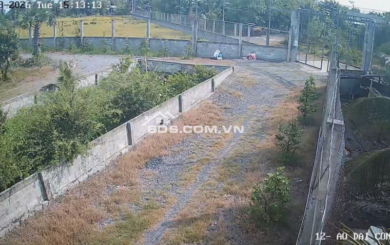 Bán Nhà Vườn 12.000m2, Giá 31 Tỷ, Kênh 12, Xã Lê Minh Xuân Bình Chánh TPHCM