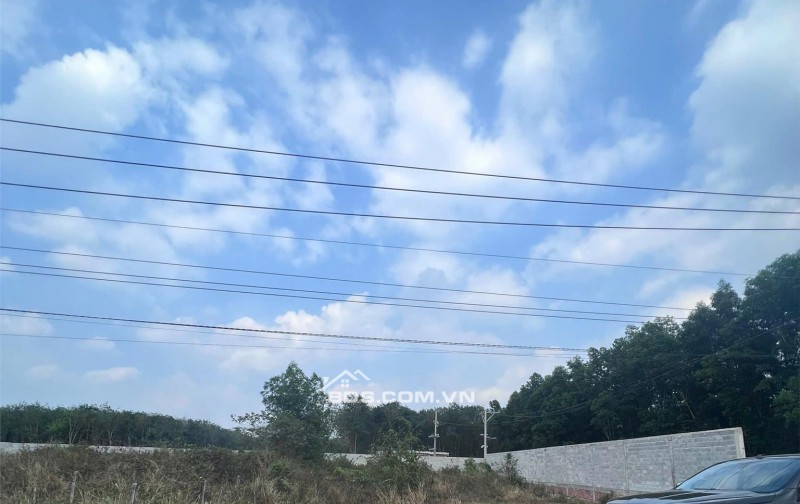 Chính chủ cần tiền bán gấp lô đất siêu đẹp 250m2 tại Tp. HCM mới, giá đầu tư