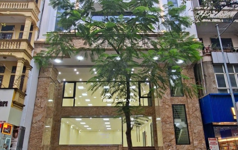 600tr/m2 9 Tầng Mặt Phố Lớn Đại La 265M2 Tòa Đẹp hiện Đại PCCC, GPXD Chuẩn