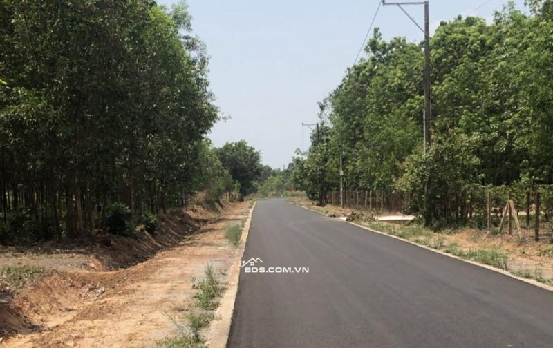 THANH LÝ LÔ ĐẤT 20*100*100 THỔ CƯ DH 715 DÂN ĐÔNG GIÁ 2TY450 CÓ LỘC