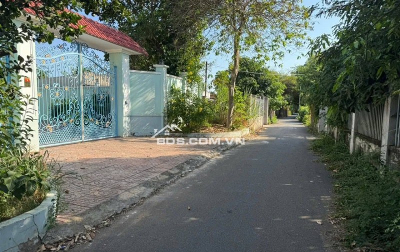 BÁN ĐẤT ĐƯỜNG SỐ 79 – HÒA LONG, TP.HCM