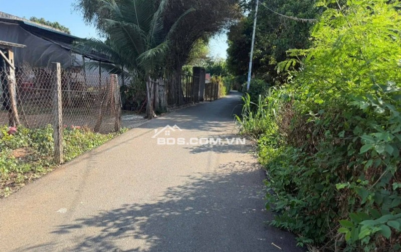 BÁN ĐẤT ĐƯỜNG SỐ 79 – HÒA LONG, TP.HCM