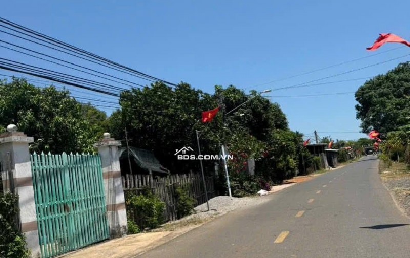 BÁN ĐẤT ĐƯỜNG SỐ 79 – HÒA LONG, TP.HCM