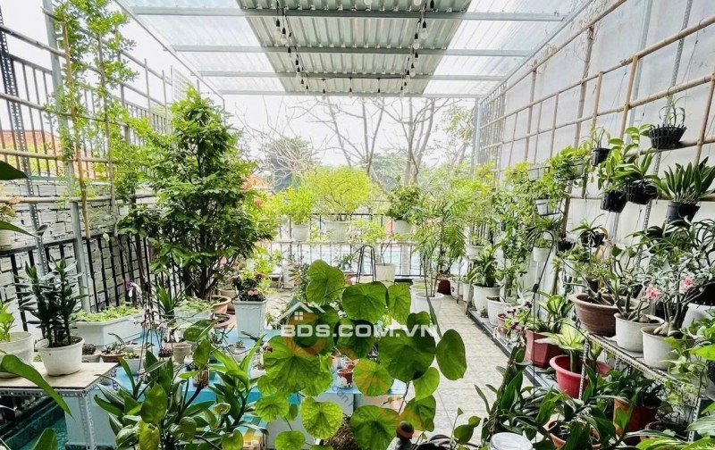 Nhà phố Tân Sơn ngay ga T3 tiện xây CHDV 125m2 ngang 4.2m HXT gần chợ PVB 11.9 tỷ.