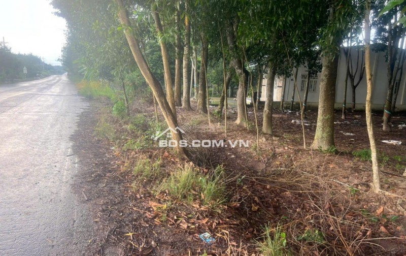 Cho thuê 4.240m2 đất thổ cư đường DT741C rộng 22m có nhà mặt tiền 80m