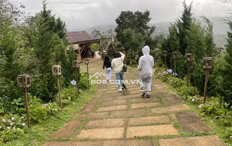 Cho thuê đất ở Đà Lạt Xuân Trường, miễn phí 1PN giá 2tr/lô/ sổ riêng