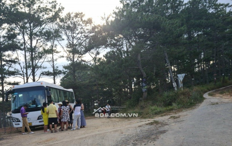 Cho thuê 10.600m2 đất vườn cafe Sim Tím MT QL20, HXH Đà Lạt