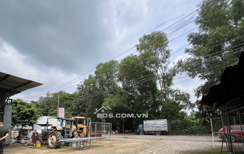 Chính chủ cần bán 3 lô đất liền kề tổng 3119m² tại phường An Tây – TP Bến Cát. Giấy tờ đầy đủ