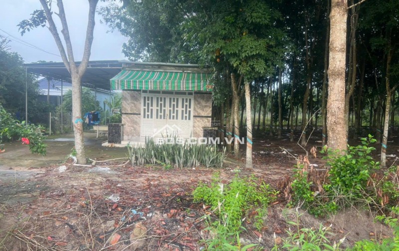 Cho thuê 4.240m2 đất thổ cư đường DT741C rộng 22m có nhà mặt tiền 80m