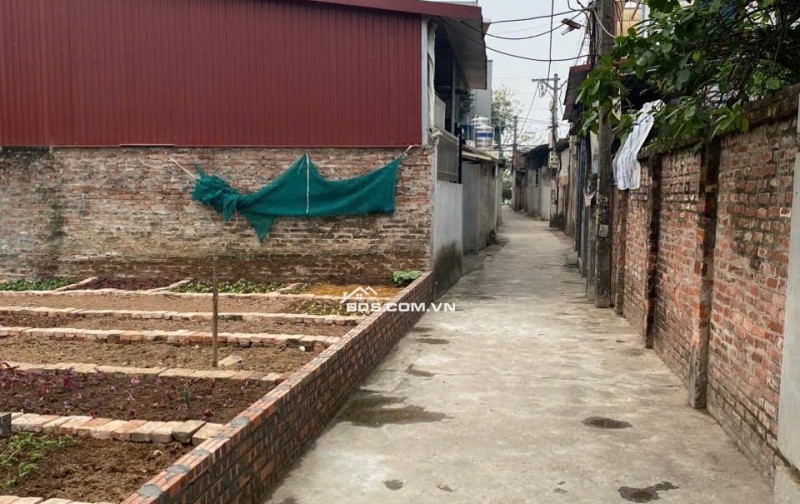 Chính chủ cần tiên bán nhanh lô đất 171m2 tại Phụng Thượng, Phúc Thọ, dân cư đông đúc