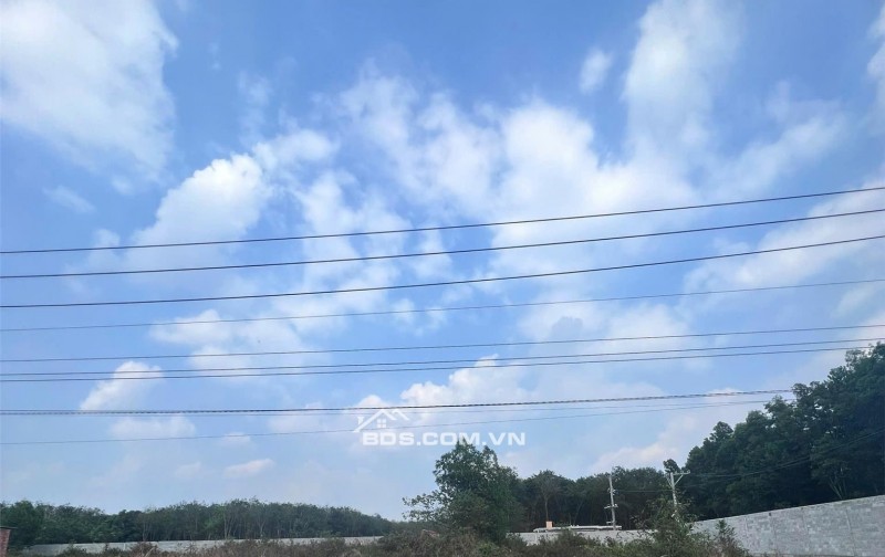 Chính chủ cần tiền bán gấp lô đất siêu đẹp 250m2 tại Tp. HCM mới, giá đầu tư