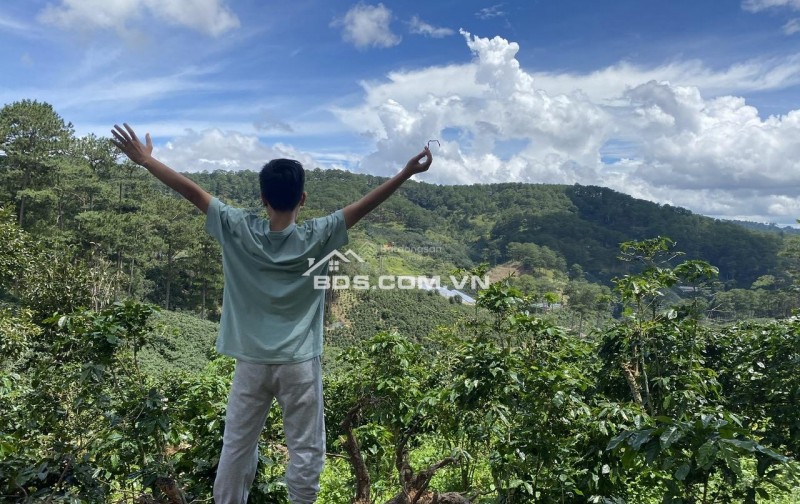 Cho thuê 10.600m2 đất vườn cafe Sim Tím MT QL20, HXH Đà Lạt