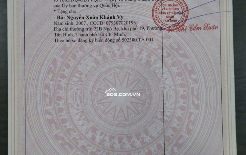 Bán nhà chính chủ số 22B đường Ngô Bệ, Phường Tân Bình TPHCM