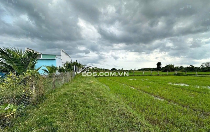 Bán đất Ma Lâm Huyện Hàm Thuận Bắc Bình Thuận 4,1 sào giá rẻ