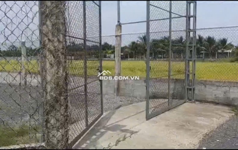 Bán Nhà Vườn 12.000m2, Giá 31 Tỷ, Kênh 12, Xã Lê Minh Xuân Bình Chánh TPHCM