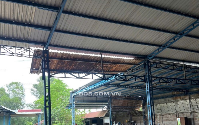 Chính chủ cần bán 3 lô đất liền kề tổng 3119m² tại phường An Tây – TP Bến Cát. Giấy tờ đầy đủ