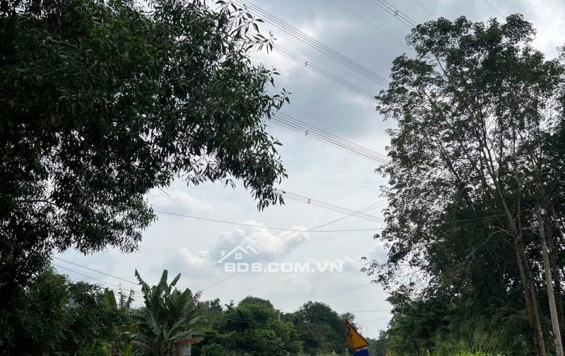 Chính chủ cần bán 3 lô đất liền kề tổng 3119m² tại phường An Tây – TP Bến Cát. Giấy tờ đầy đủ