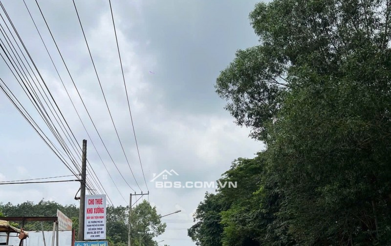 Chính chủ cần bán 3 lô đất liền kề tổng 3119m² tại phường An Tây – TP Bến Cát. Giấy tờ đầy đủ