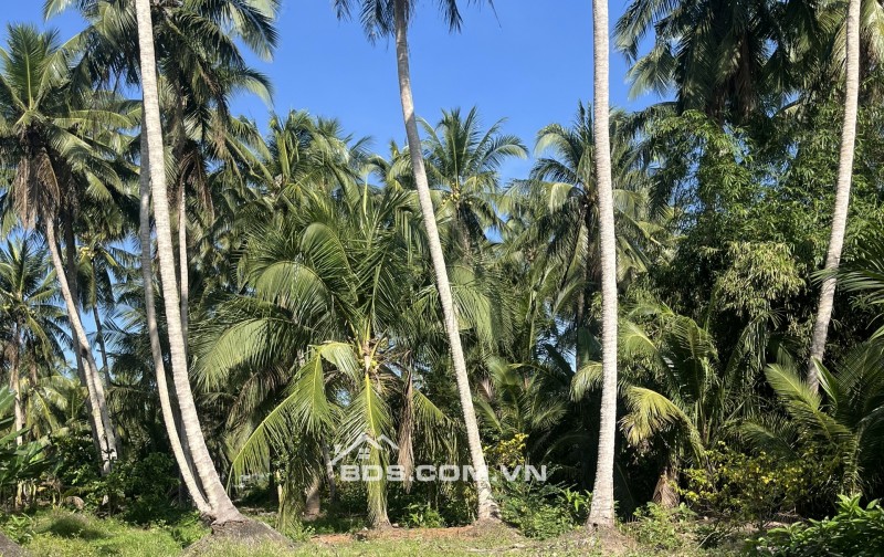 Cần bán 1.258m , mặt tiền ngang 12m dài 110m, có 150thỗ cư