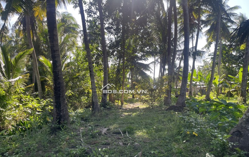 Cần bán 1.258m , mặt tiền ngang 12m dài 110m, có 150thỗ cư