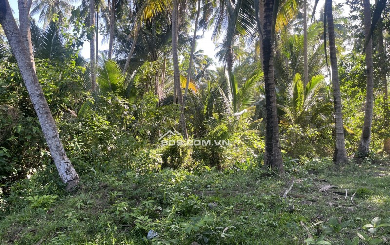 Cần bán 1.258m , mặt tiền ngang 12m dài 110m, có 150thỗ cư