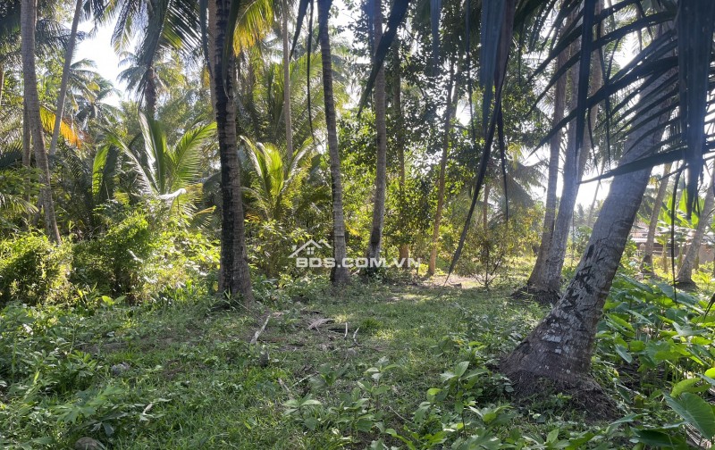 Cần bán 1.258m , mặt tiền ngang 12m dài 110m, có 150thỗ cư