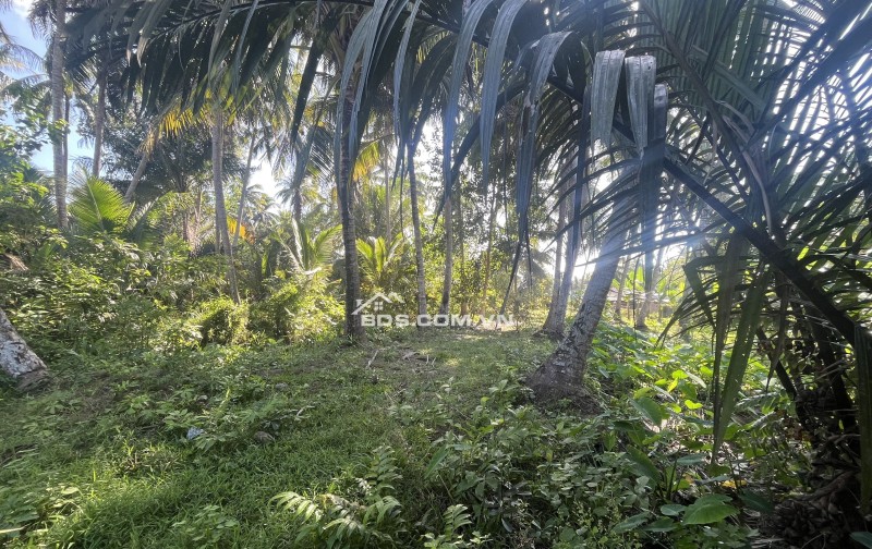 Cần bán 1.258m , mặt tiền ngang 12m dài 110m, có 150thỗ cư