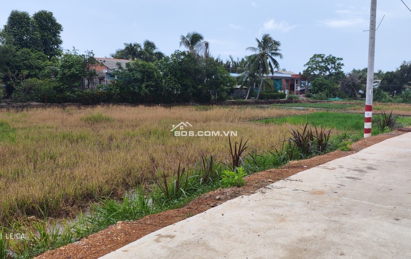 Bán lô đất lúa 4 mặt tiền chuyển thổ phân lô giá chốt 5 tỷ