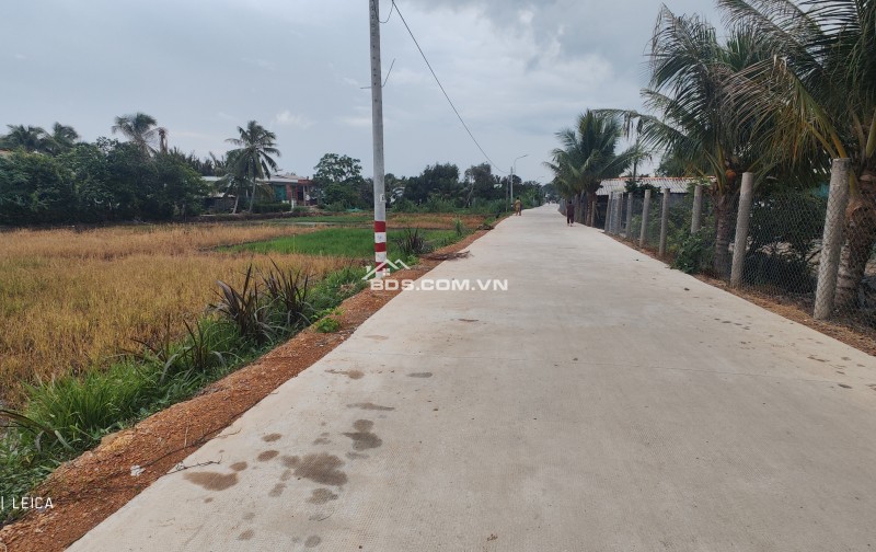 Bán lô đất lúa 4 mặt tiền chuyển thổ phân lô giá chốt 5 tỷ