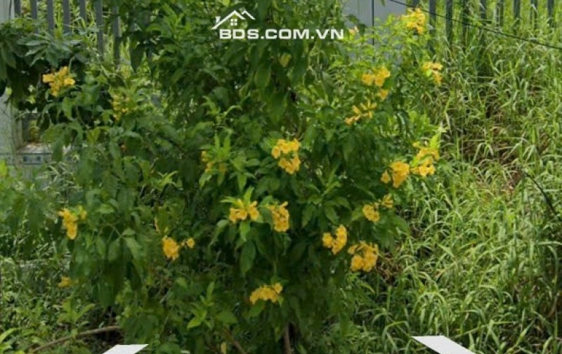 Kẹt Tiền Bán Gấp Lô Đất Mặt Tiền Đường ĐH20, 530m2, Giá 7,5 tỷ. LH: 0902.582.938