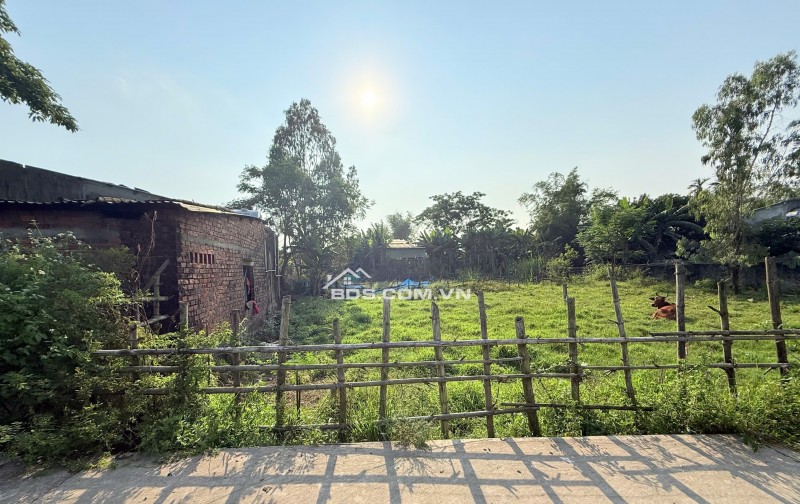 Khu đất tọa lạc tại Đường ĐT 609, Xã Đại Lộc, Đà Nẵng đang chờ đón những chủ nhân mới. Với diện tích 155 m2, đất thổ cư thoải mái xây dựng