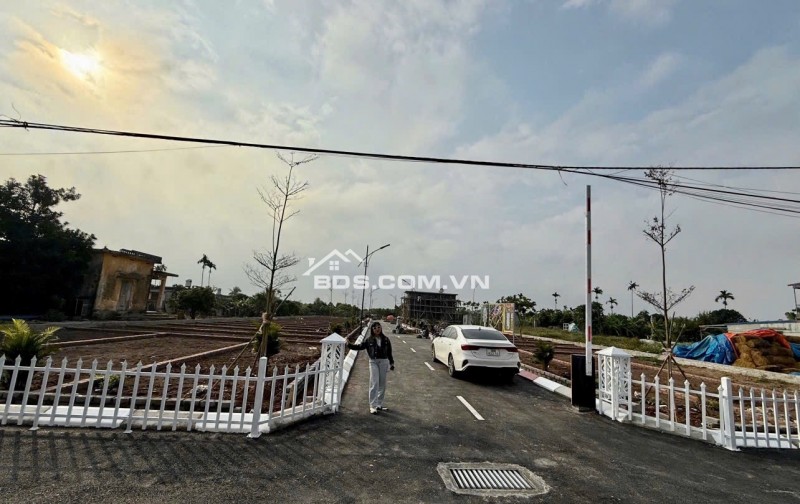 An lão hải phòng