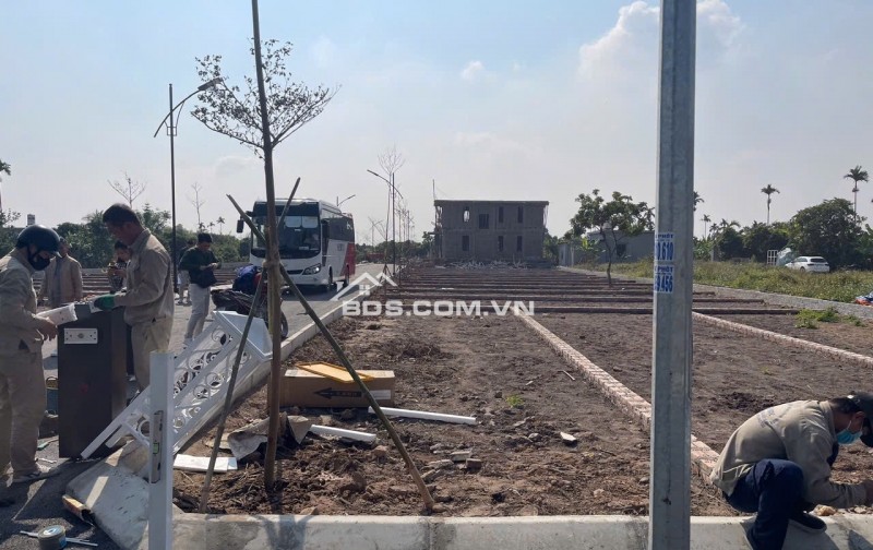 An lão hải phòng