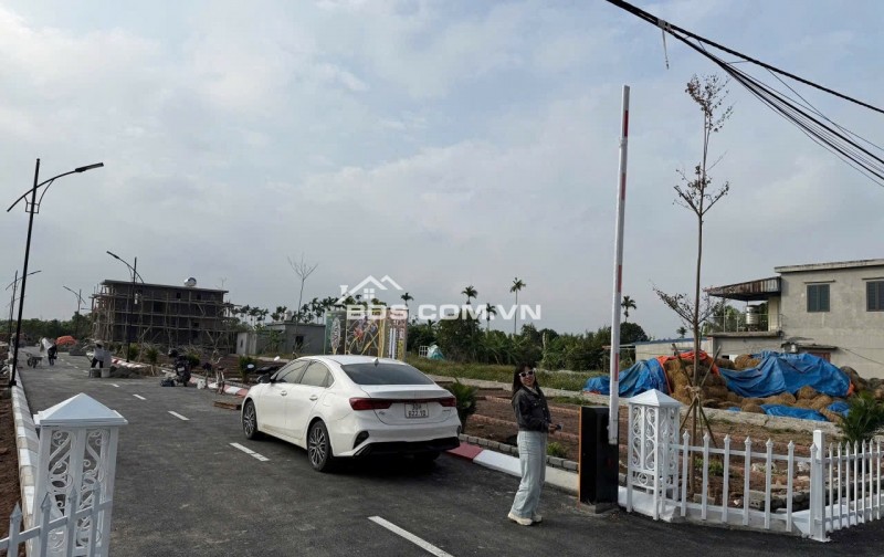 An lão hải phòng