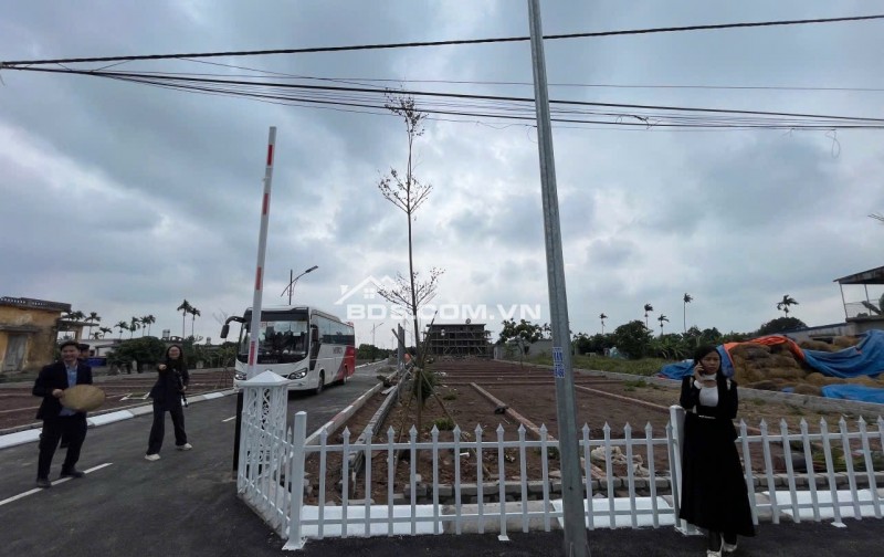 An lão hải phòng